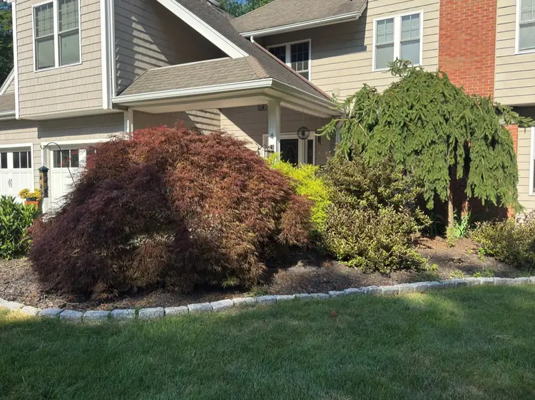 Before: an overgrown front planting bed at a Central Connecticut home