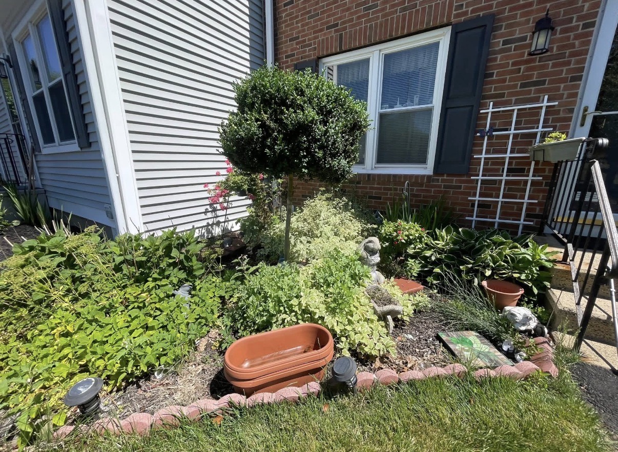 Existing front garden bed before an Edgeline design consultation