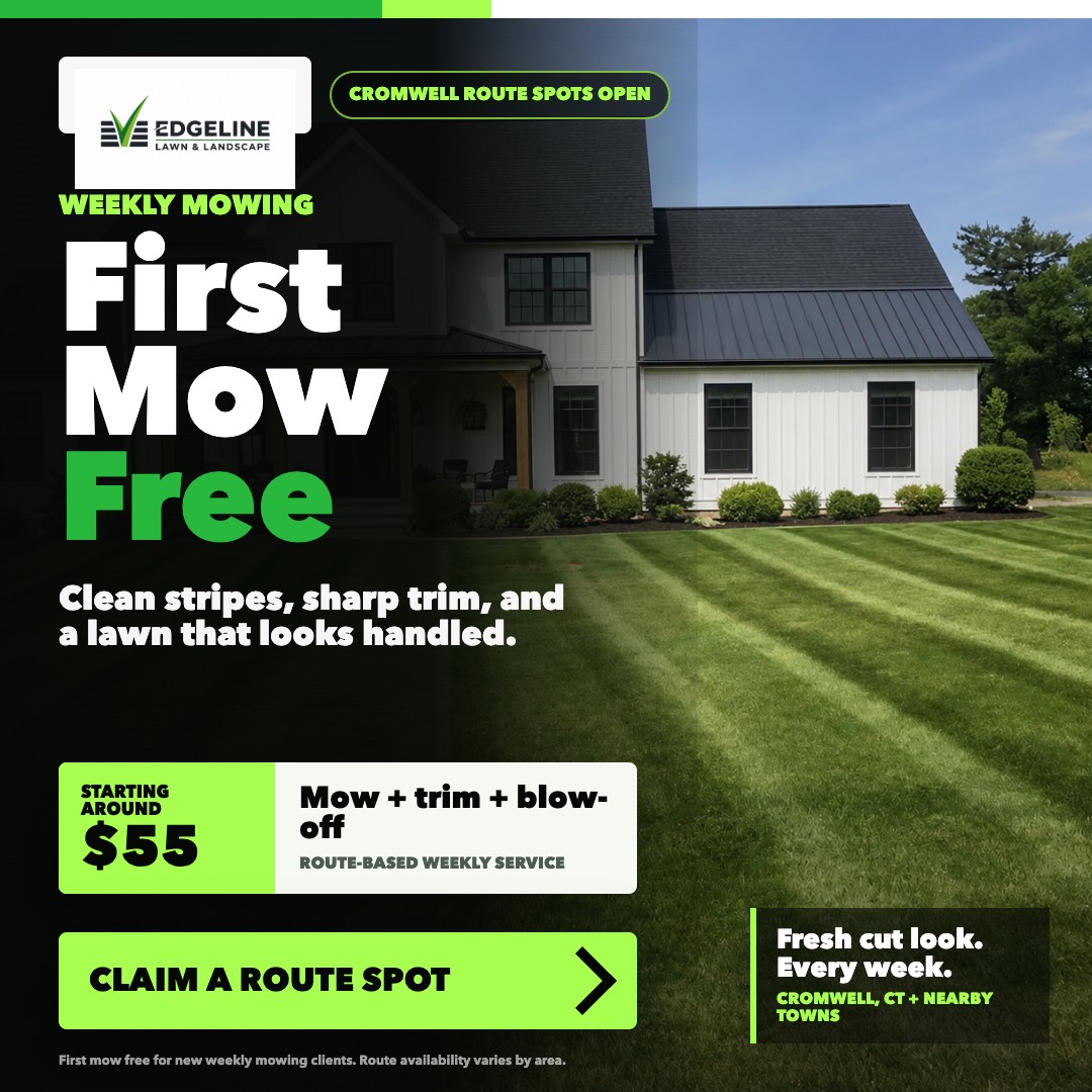 A neatly maintained lawn and planting bed at a Central Connecticut home